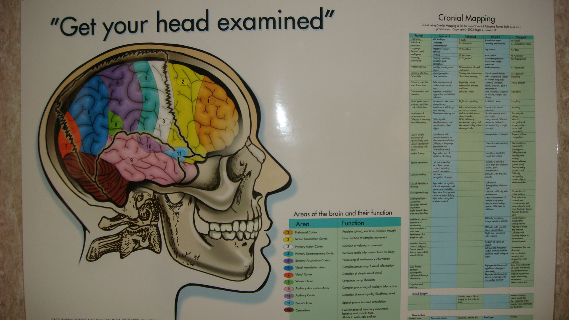 cranial